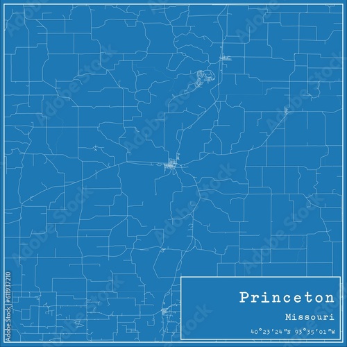 Blueprint US city map of Princeton  Missouri.