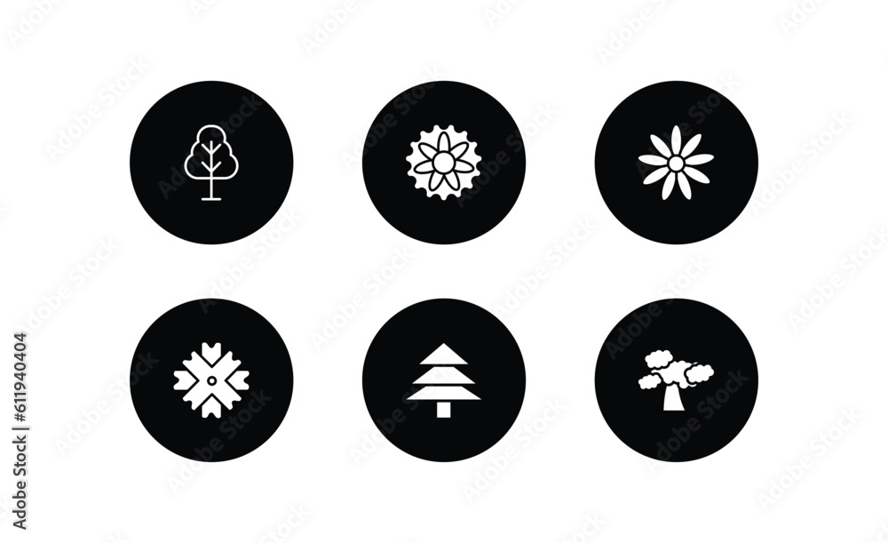 nature filled icons set. nature filled icons pack included birch, aster, daisy, wedelia, pine tree, shadbush tree vector. nature filled icons set. nature filled icons pack included birch, aster, daisy, wedelia, pine tree, shadbush tree vector.