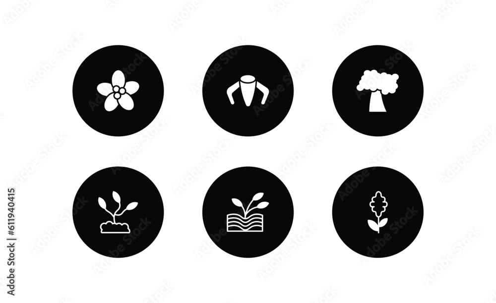 nature filled icons set. nature filled icons pack included pointia, ylang-ylang, black cherry tree, grow plant, plant growing on book, hyacinth vector.