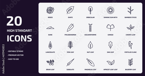 nature outline icons set. nature thin line icons pack such as roses, shining sun with rays, philodendron, lanceolate, subulate, magnolia leaf, apricot leaf leaf, bilberry vector.