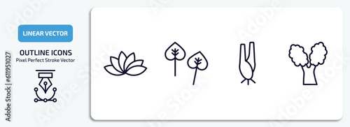 nature outline icons set. nature thin line icons pack included protea, poplar, lemongrass, eastern cottonwood tree vector.