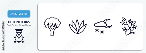nature outline icons set. nature thin line icons pack included paper birch tree, agave, night snow, ikebana flowers vector.