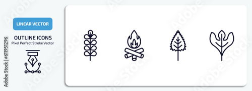 nature outline icons set. nature thin line icons pack included pecan leaf, camping bonfire, birch leaf, sassafras leaf vector.