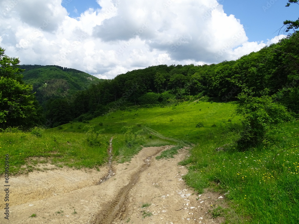 Obraz premium road in the mountains