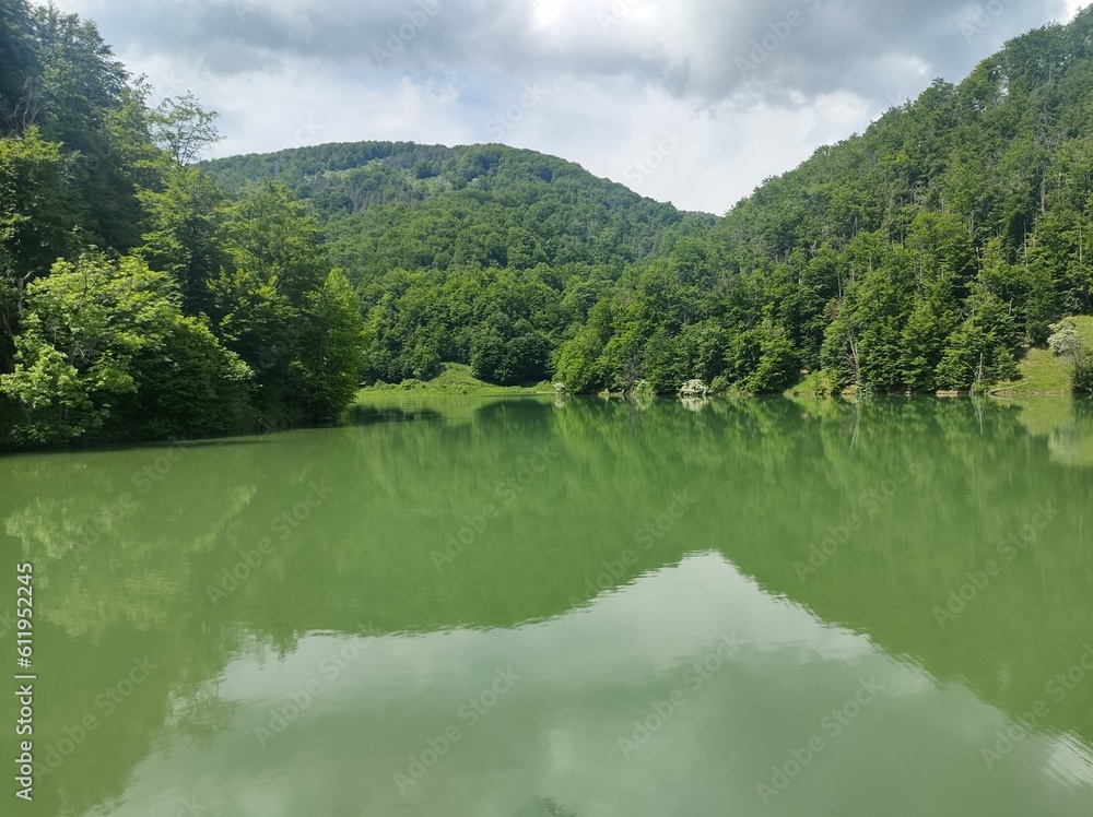 lake and forest lake and forest