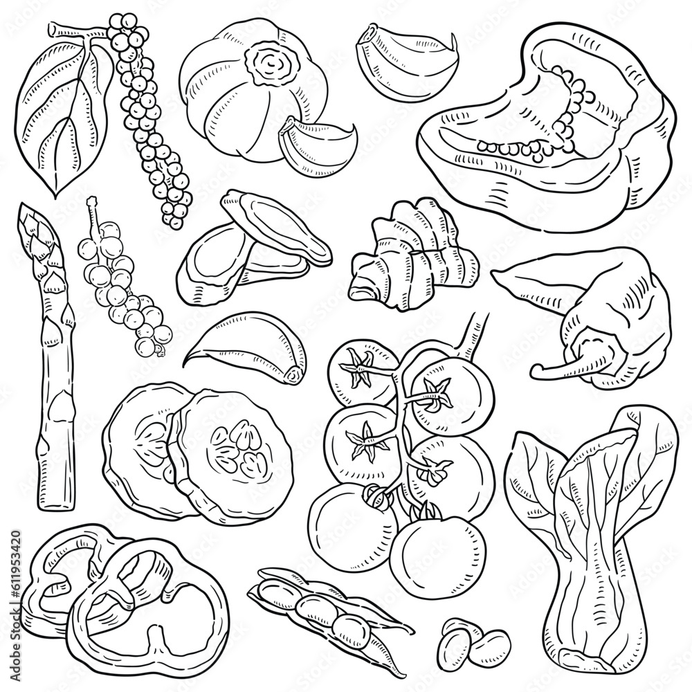 Vegetables doodle drawing collection.
