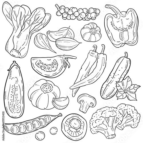 Vegetables doodle drawing collection.