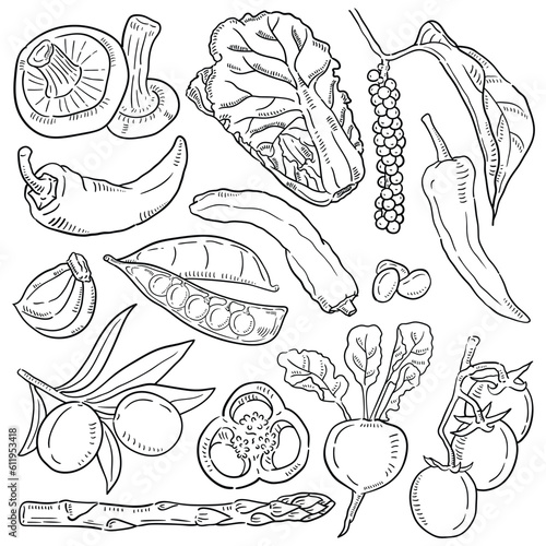 Vegetables doodle drawing collection.