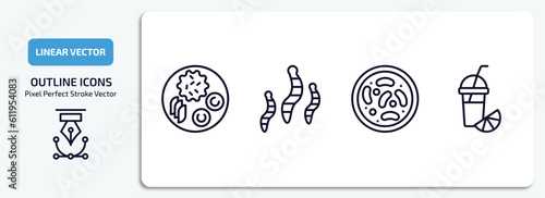 food outline icons set. food thin line icons pack included hainanese chicken, worms, red bean soup, fresh smoothie vector.