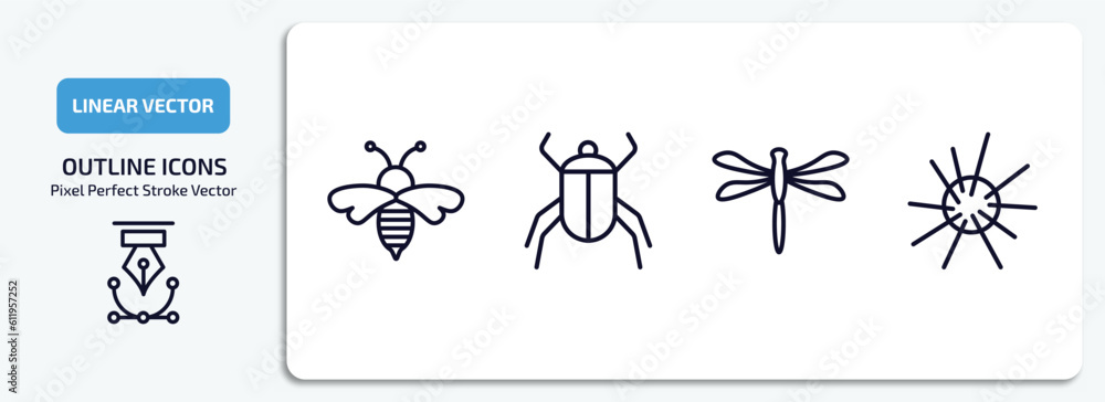 animals outline icons set. animals thin line icons pack included wasp, beetle, dragonflay, sea urchin vector. animals outline icons set. animals thin line icons pack included wasp, beetle, dragonflay, sea urchin vector.