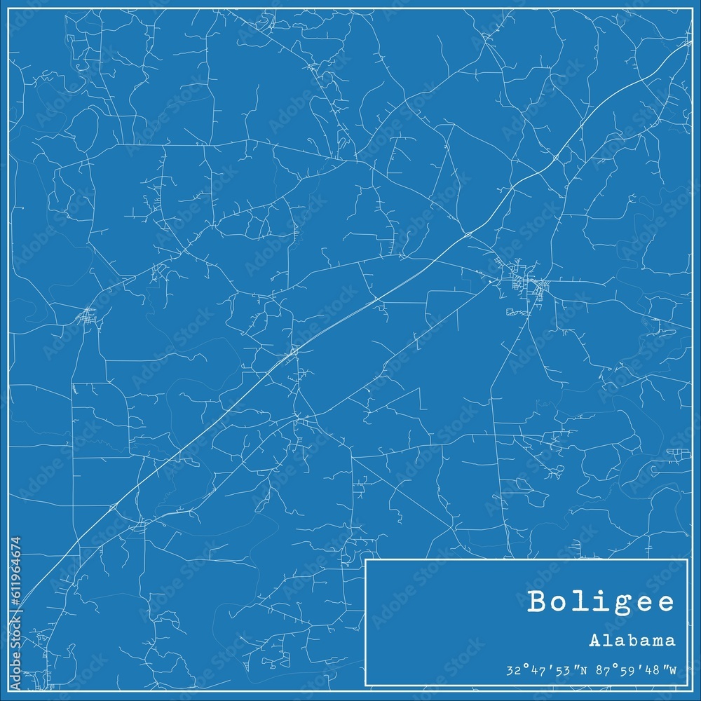 Fototapeta mapa świata dla dzieci Blueprint US city map of Boligee