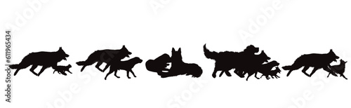 Set of vector silhouettes of different dogs on white background.