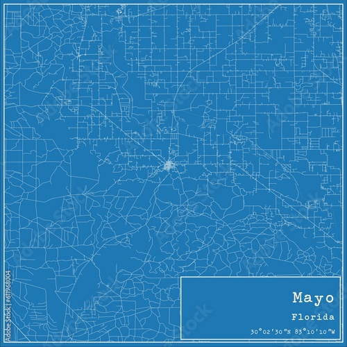 Blueprint US city map of Mayo, Florida.