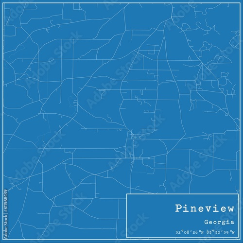 Blueprint US city map of Pineview, Georgia.