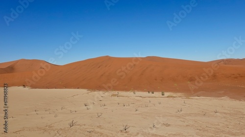 Sandd  nen und abgestorbene B  ume in der Namibw  ste in Namibia