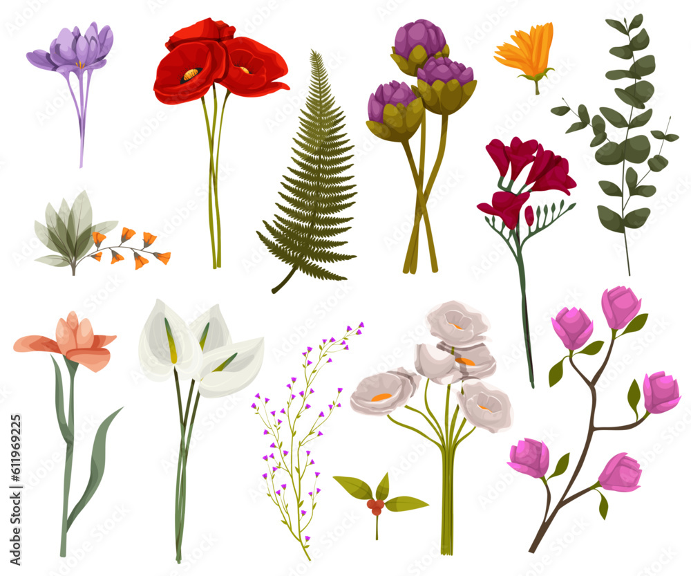 Set watercolor botanic blossom floral elements. Branches, leaves, herbs, wild plants, flowers. Garden and wild foliage, flowers, branches. Isolated vector illustration EPS10