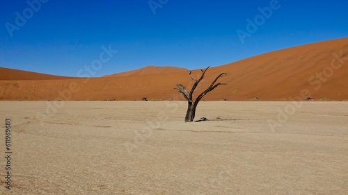 Sanddünen und abgestorbene Bäume in der Namibwüste in Namibia