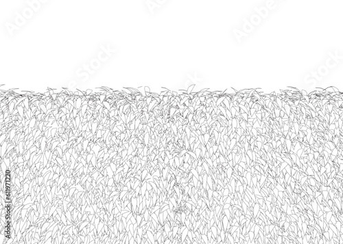 Grass fence rectangular boxwood shrubs. Ornamental plant for decorate of a park, a garden or a green fence. Foliage for spring and summer card design. Grass fence contour..