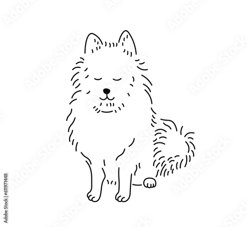 Vector isolated one single cute cartoon sitting pomeranian spitz colorless black and white contour line easy drawing