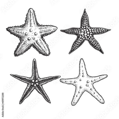 Starfish hand drawn sketch style set. Nature ocean aquatic underwater collection. Marine  fauna engraving illustrations on white background.