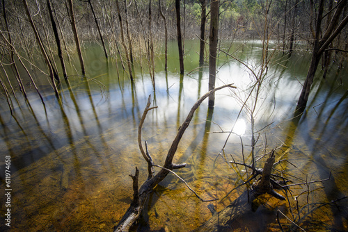 Macs Cove, Lake Eildon, Mansfield, Victoria, Australia photo