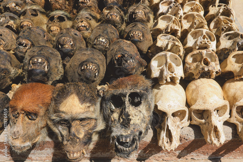 Dried Animal Skulls on the Akodessewa Fetish Market near Togo, West Africa © Dave