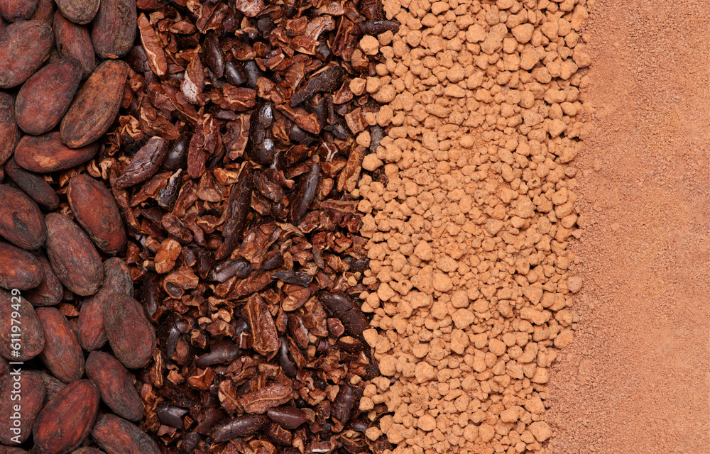 Cocoa bean, cocoa nibs, cocoa mass and chocolate cocoa powder texture