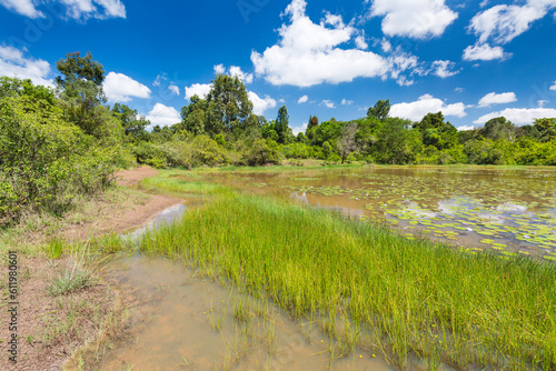 Beautiful Lily Lake in Karura Forest, Nairobi, Kenya