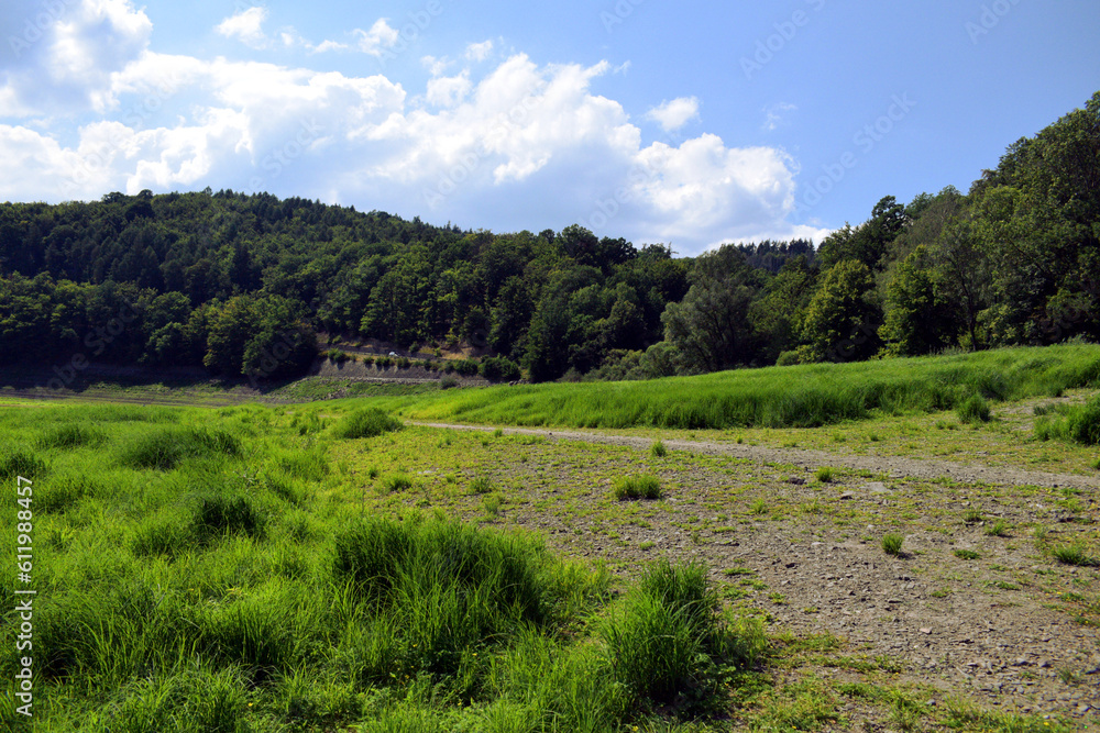 Fototapeta premium Widok na las oraz zielony krajobraz z piękną roślinnością
