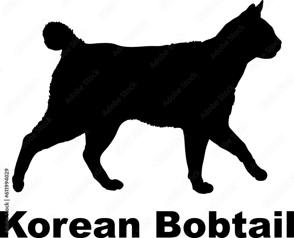 Korean Bobtail. Cat. silhouette, cat breeds,