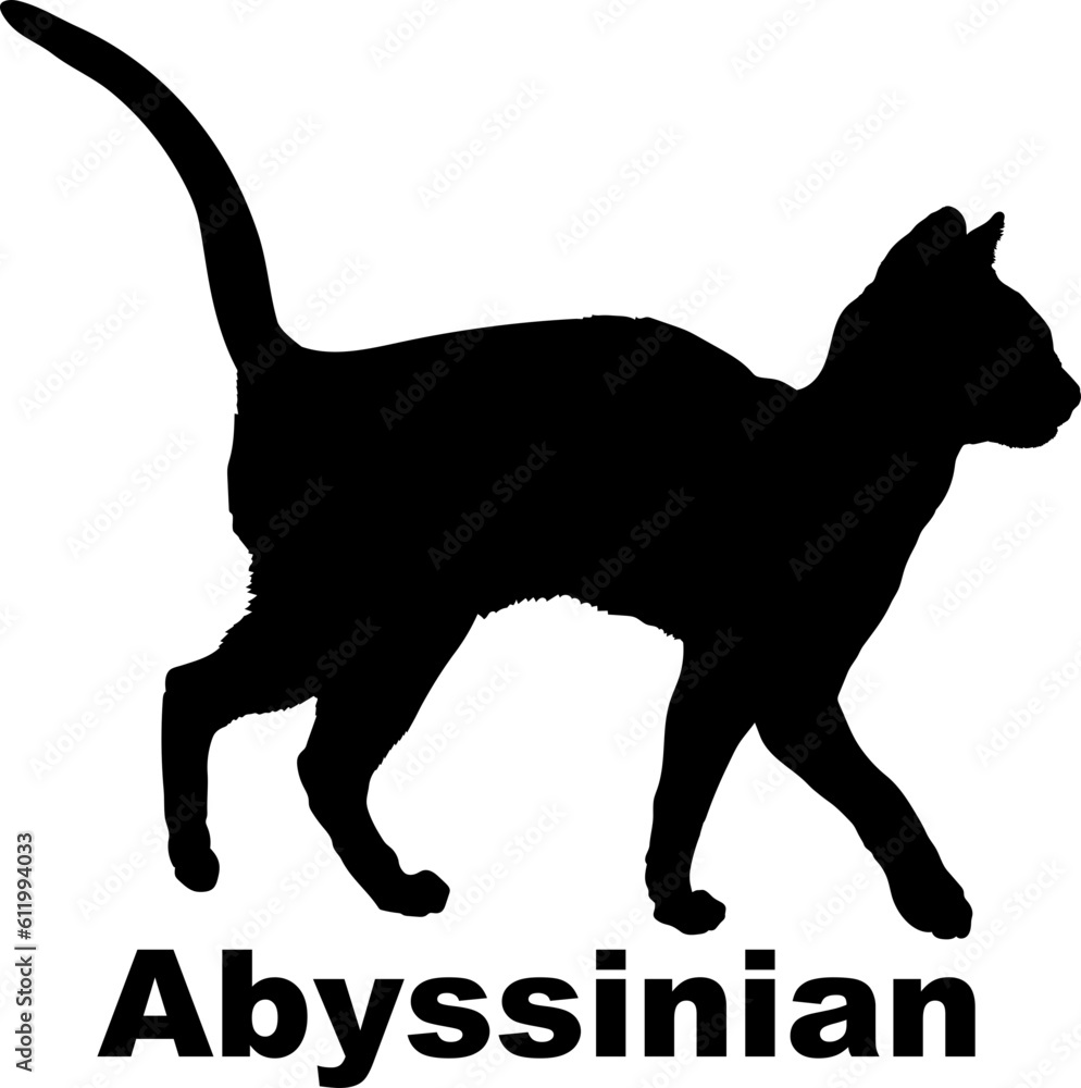 Abyssinian Cat. silhouette, cat breeds,