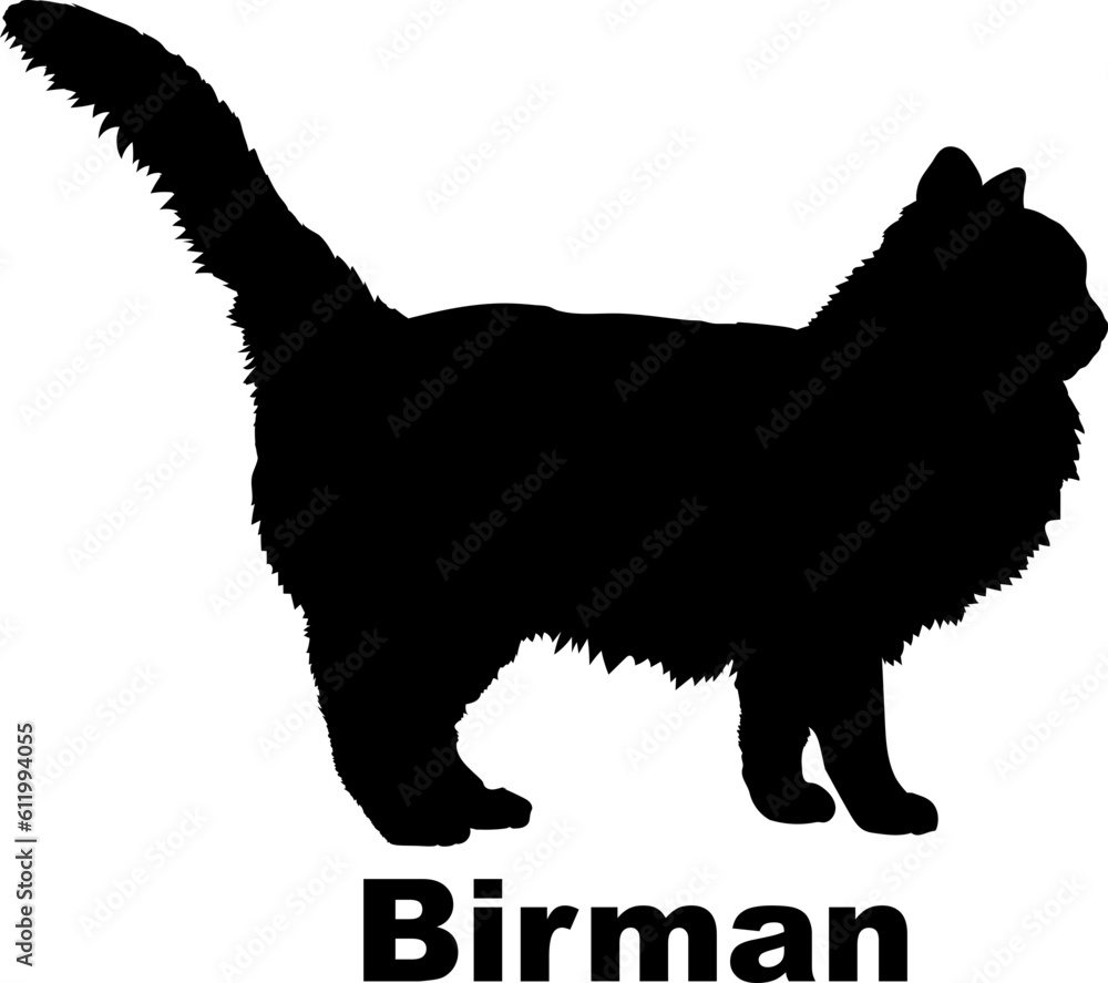 Birman Cat. silhouette, cat breeds,