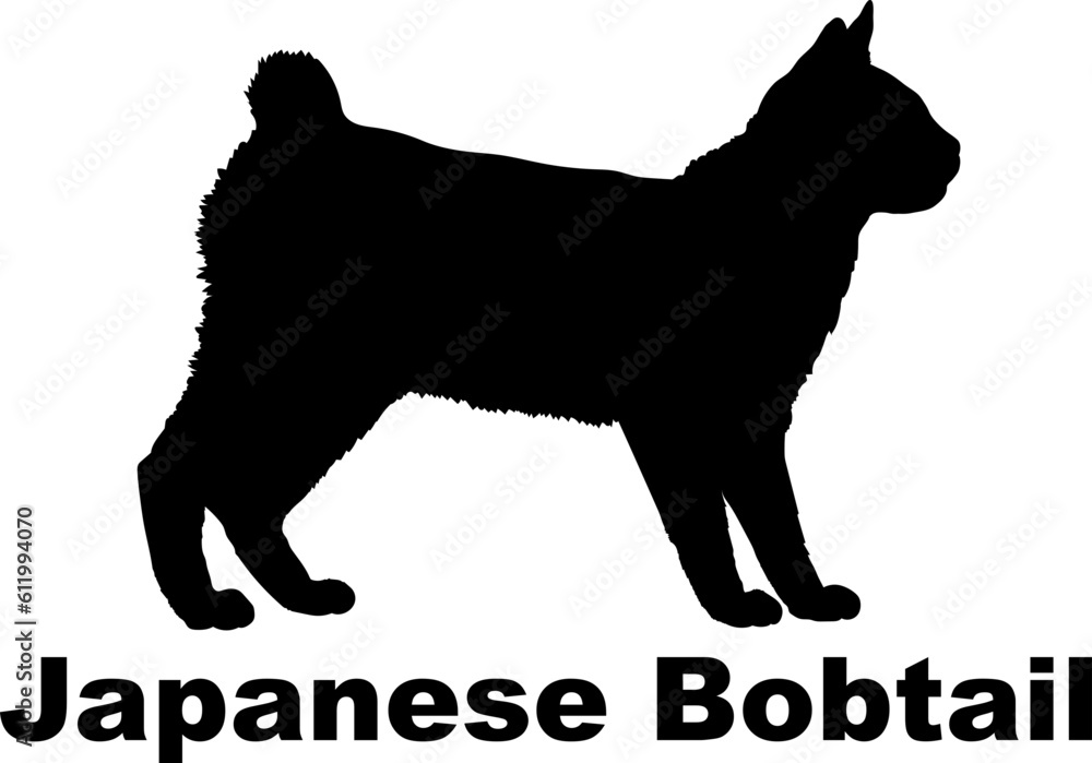  Japanese Bobtail Cat. silhouette, cat breeds,