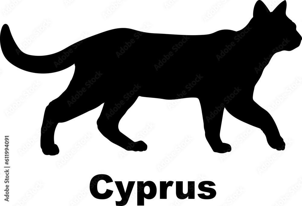 Cyprus Cat silhouette cat breeds
