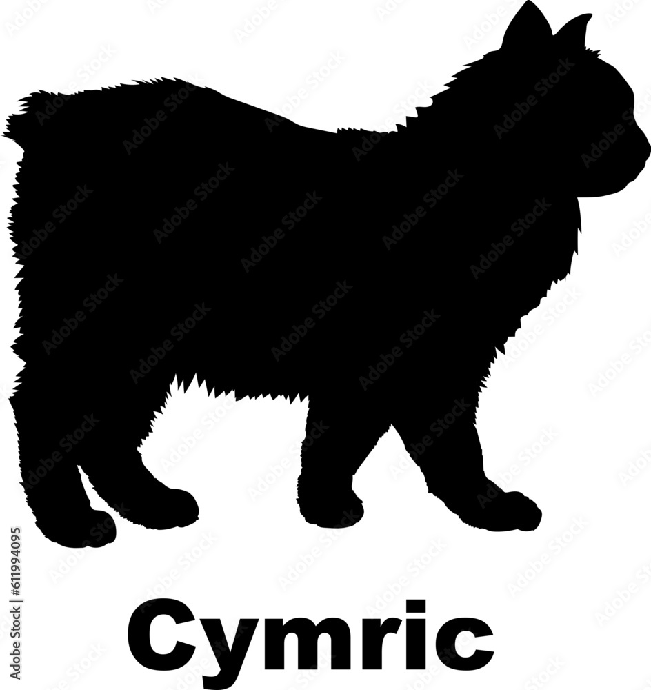 Cymric Cat silhouette cat breeds