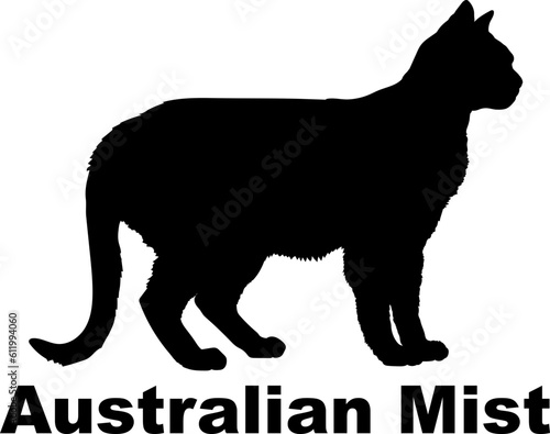 Australian Mist Cat. silhouette, cat breeds,