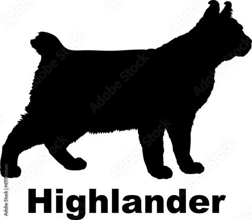 Obraz na plátně Highlander Cat. silhouette, cat breeds,