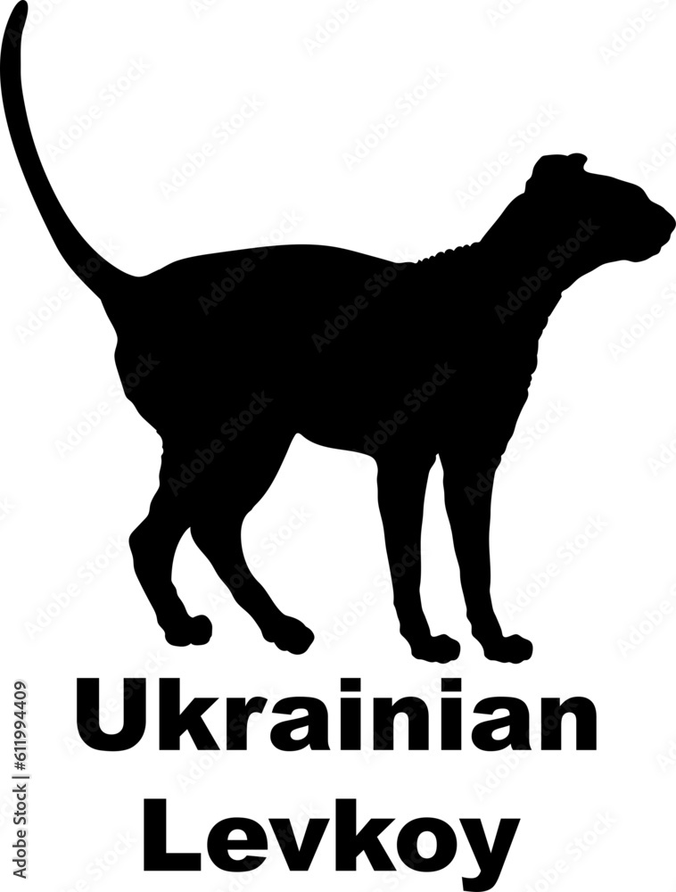Ukrainian Levkoy Cat silhouette cat breeds
