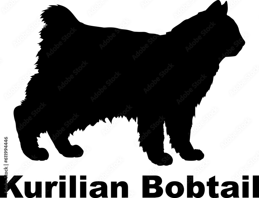 Kurilian Bobtail Cat silhouette cat breeds