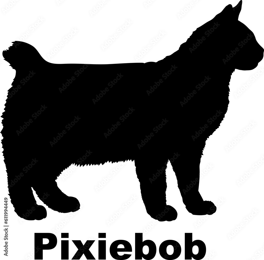 Pixiebob Cat silhouette cat breeds