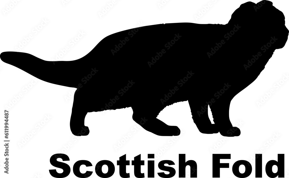 Scottish Fold Cat silhouette cat breeds