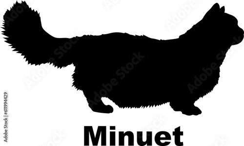 Minuet Cat silhouette cat breeds
