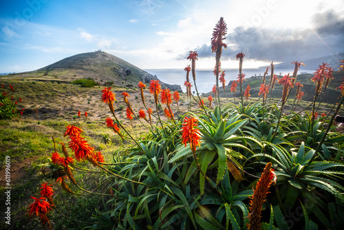 Madeira - Ponto do Rosto