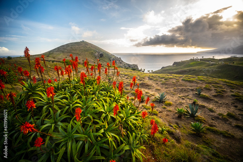 Madeira - Ponto do Rosto