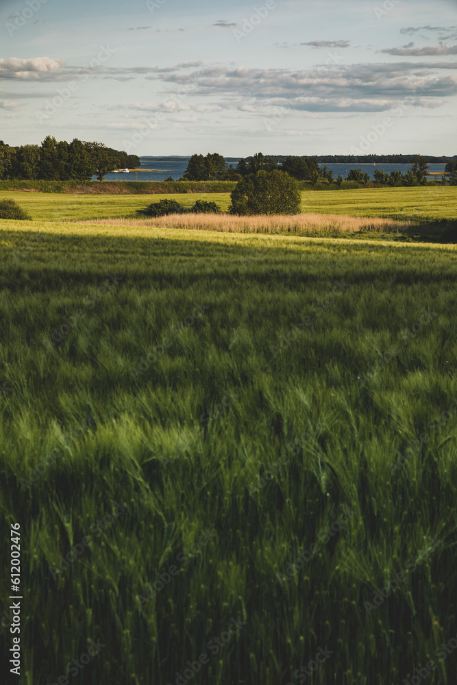 Mazury w słoneczny dzień. Mazurski krajobraz. Mazury w słoneczny dzień. Mazurski krajobraz.