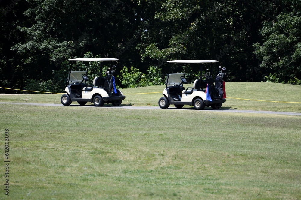 Golf carts at course greens background