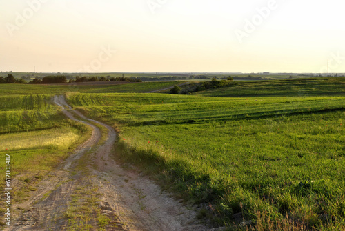 road in the field