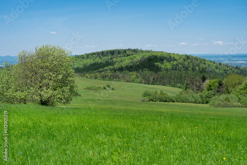 Beautiful Polish meadow with a view of the hills in the Low Beskid (spruces, pines, deciduous trees). Beskid Niski, Iwonicz Zdroj - Poland. 