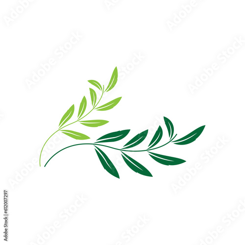 green leaf logo design vector icons
