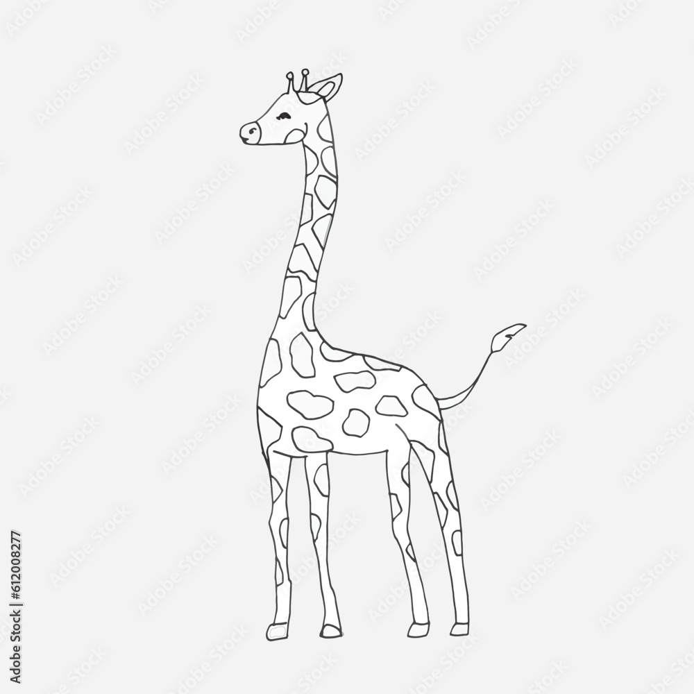 A vector giraffe. Line art animal isolated on white background. Hand drawn line sketch, black and white simple illustration. A vector giraffe. Line art animal isolated on white background. Hand drawn line sketch, black and white simple illustration.